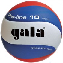 Волейбольный мяч Gala PRO-LINE